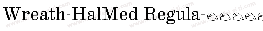 Wreath-HalMed Regula字体转换